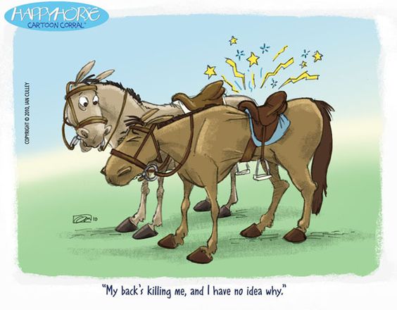 A cartoon of a horse complaining of a backache